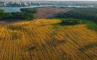 Explore the stunning aerial landscape of Drozdzy, Belarus, showcasing fields and cityscape.